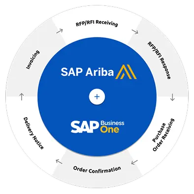 SAP Ariba business cycle